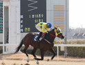 데뷔 11년 차 '강심장' 진겸 기수, 통산 300승 쾌거