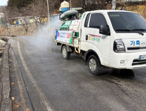 구례 육용오리 농장 조류인플루엔자 항원 검출
