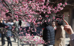 금요일, 아침은 ‘쌀쌀’ 낮엔 ‘포근’…일교차 15도 이상 [날씨]