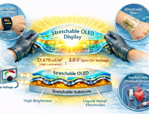 [쿠키과학] KAIST, 늘려도 밝기 유지 ‘스트레처블 OLED’ 세계 최초 구현