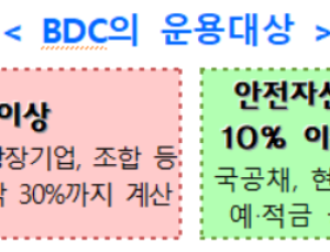 개인도 벤처·혁신기업 투자 가능…17일 BDC 제도 시행