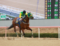 클러치위너, 제19회 경남신문배 우승…3세마 최강 존재감