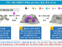 [쿠키과학] '이산화탄소 자원화 길 열다'… 화학연, 뭉침 없는 원자 촉매 개발