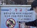 “팔로워 1명당 쓰레기 1개”…SNS 공약이 바꾼 우리 동네 [쿠키청년기자단]