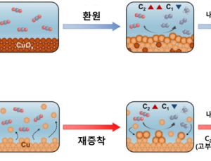 [쿠키과학] KAIST, CO₂ 전환 촉매 성능 저하 원인 규명