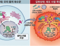 [쿠키과학] 