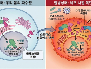 [쿠키과학] 