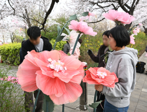 벚꽃은 절정, 여의도는 축제 준비…“차 두고 오세요” [쿠키포토]