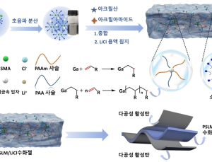 [쿠키과학] 