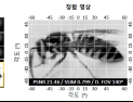 [쿠키과학] '곤충 시각원리 모사' 초슬림 광각 카메라 개발