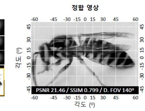 [쿠키과학] '곤충 시각원리 모사' 초슬림 광각 카메라 개발