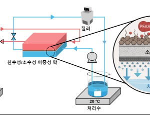 [쿠키과학] '영원한 화학물질' 과불화화합물 99% 제거… 부산대, 양면 분리막 개발
