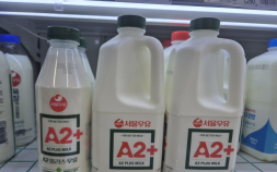 ‘A2+우유’ 1억개 팔렸다…서울우유, 프리미엄으로 승부 [주도권을 향한 질주, 韓기업의 선택]