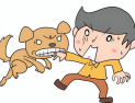 당진시에선 ‘자전거·농기계·개물림’ 사고도 보상