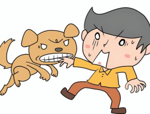 당진시에선 ‘자전거·농기계·개물림’ 사고도 보상