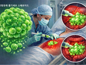 [쿠키과학] KAIST, 줄기세포 생존 한계 넘는 3차원 배양 기술 개발