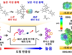 [쿠키과학] '성능 2배·안정성 100배'… 한양대, 용매로 반도체 도핑 제어
