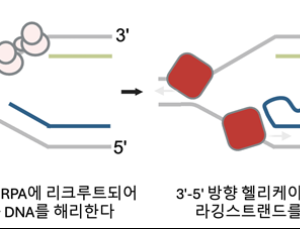 [쿠키과학] 