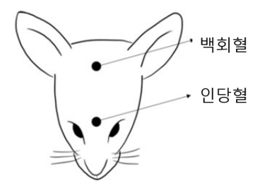 [쿠키과학] '침으로 PTSD 우울·불안 동시 완화'… 한의학연, 삼차신경 자극 침 치료