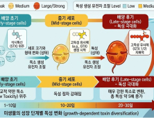 [쿠키과학] 생명연 