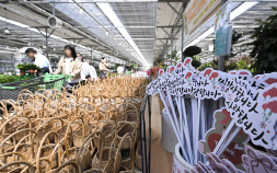 “감사합니다 사랑합니다”…어버이날 꽃시장 북적 [쿠키포토]