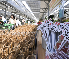 “감사합니다 사랑합니다”…어버이날 꽃시장 북적 [쿠키포토]