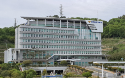 교통사고 보험사기 일당 무더기 검거