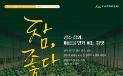 6월 경북의 참맛, ‘성주 참외·동해안 참가자미’ 추천