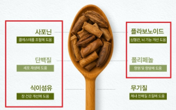 식약처, ‘감기 예방·면역력 강화’ 식품 부당광고 165건 적발