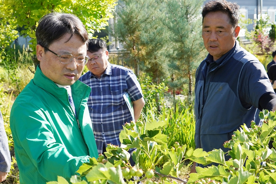 5일 세종 장군면 봉안리 ‘산림신품종 재배단지 시범사업지’를 살펴보는 박은신 산림청장(왼쪽). 산림청