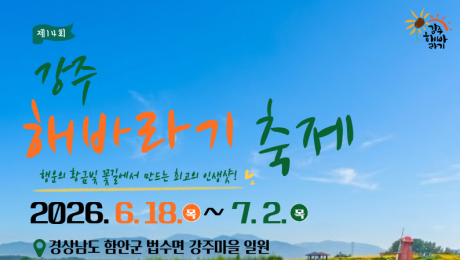 수십만 송이 해바라기가 물드는 여름… 함안 강주해바라기축제 18일 개막