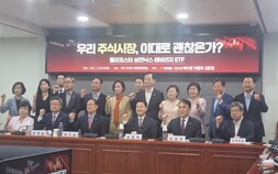 삼전·닉스 급락에 단일종목 레버리지 책임론…“신용거래 제한해야”
