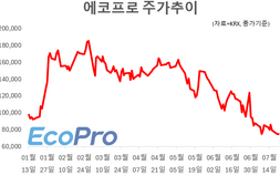 고점서 60% 빠진 에코프로…블랙록, 추가 매수로 지분 5% 넘겨