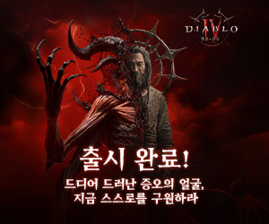 블리자드 300 *250