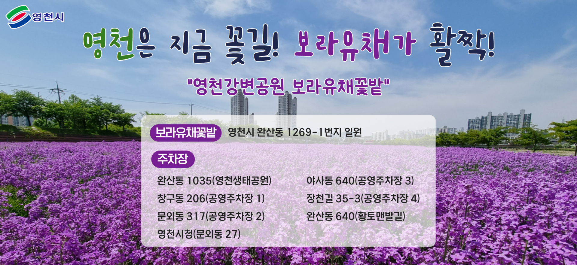 260507 ~ 0521 경북_영천시청